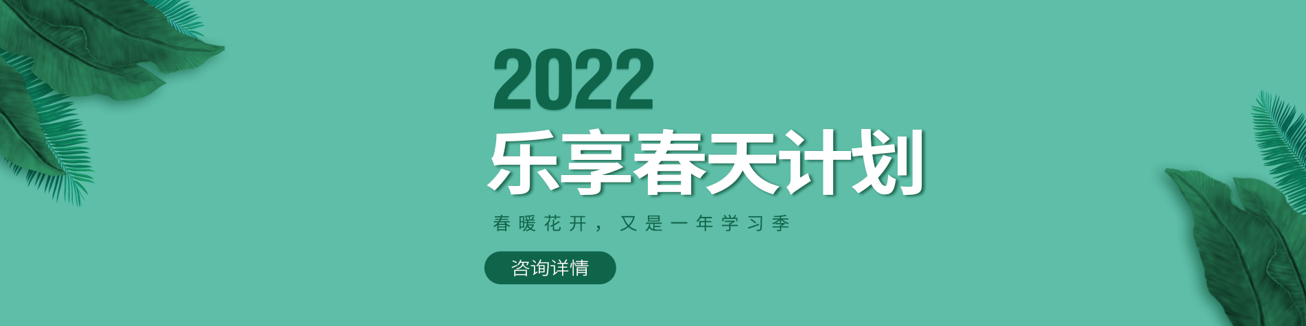 大鸡巴草我骚逼视频